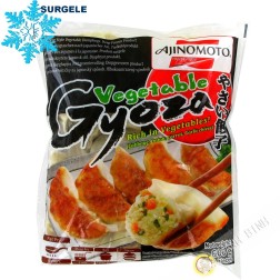 Gyoza légumes AJINOMOTO 600g Thailande - SURGELES