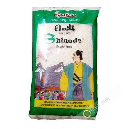 Giro di riso per sushi Shinode SOLE PLACCATO 10kg Italia
