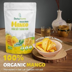 Chips de mangue lyophilisé 40x57g Vietnam Chips de mangue lyophilisé 40x57g Vietnam
