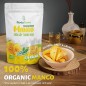 Chips de mangue lyophilisé 50x57g Vietnam Chips de mangue lyophilisé 50x57g Vietnam