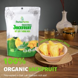 Chips de fruit de jacquier liophilisé 40x57g Vietnam Chips de fruit de jacquier liophilisé 40x57g Vietnam