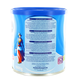 Lait concentré DUTCH LADY 24x1kg Pays Bas