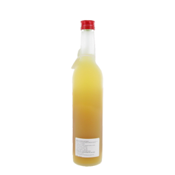 NAKATA Bevanda alcolica fermentata giapponese Umeshu Plum 500ml 8° Giappone NAKATA Bevanda alcolica fermentata giapponese Umeshu Plum 500ml 8° Giappone