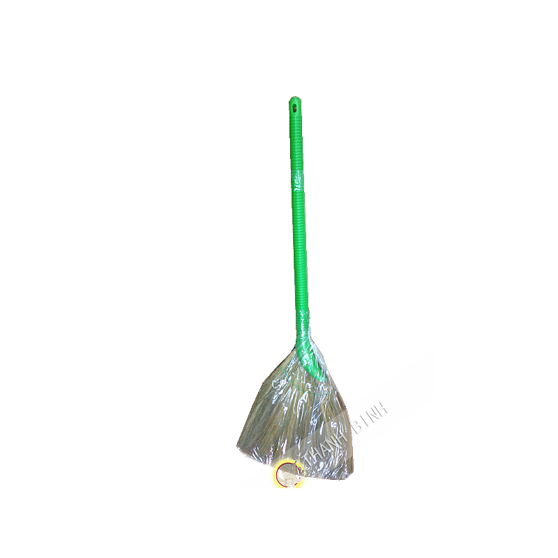 Cỏ chổi dài DRAGON OR Nam