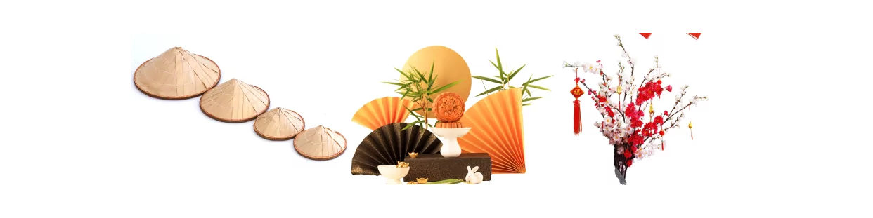 Vietnamesisch, Asiatisch, exotisch