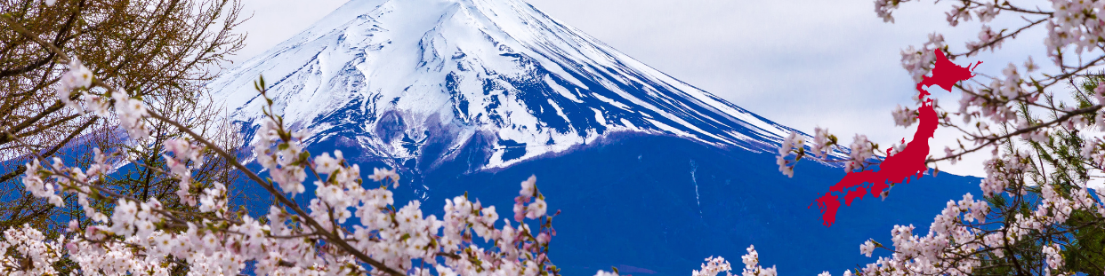 Epicerie japonaise, produits japonais